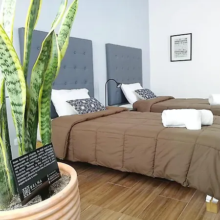 Belma Boutique Bed And Breakfast-2
